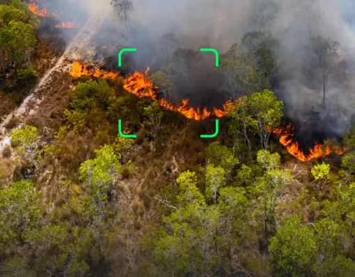 Flame Detection